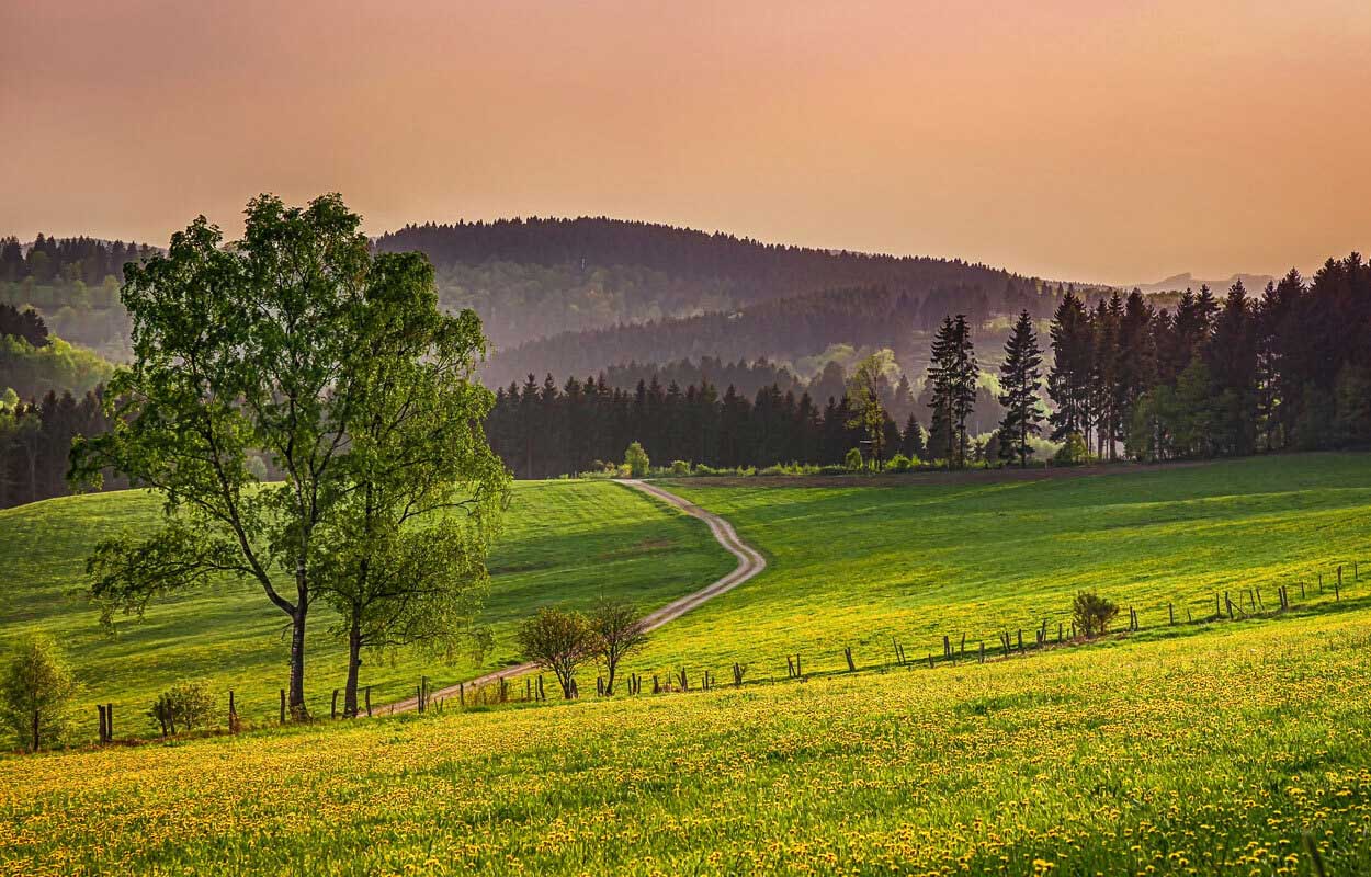 sauerland-initiativ-landschaft-wiesen